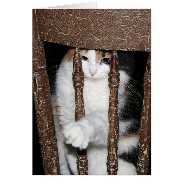 Emprisonné (Devant)
