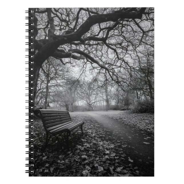 Empty Bench Twisted Trees Path Notebook Notizblock (Vorderseite)