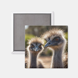 Emu Birds Magnet