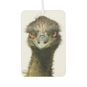 Emu-Blick Autolufterfrischer