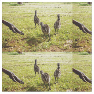 Emu Chicks mit Emu Big Foot, Stoff