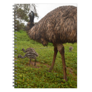 Emu Daddy mit Chicks, Notizblock