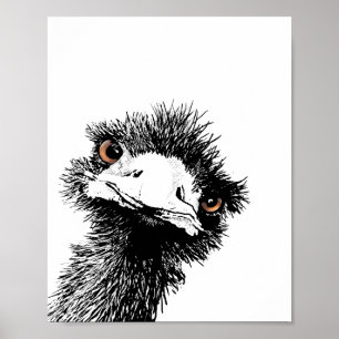 Emu – Feder und Tinte Poster