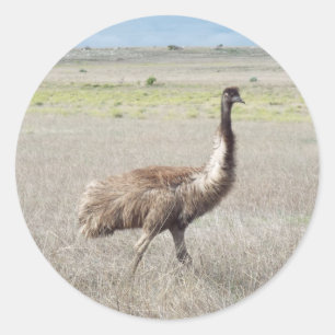 Emu-Handel Runder Aufkleber