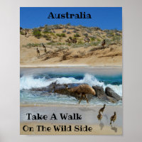 Emu Island Australia,