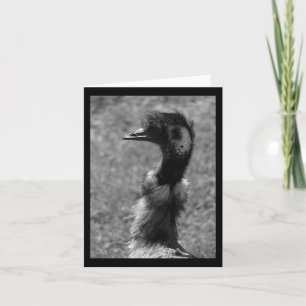 Emu Nature liebt schwarz-weiße vertikale Aufkleber Karte