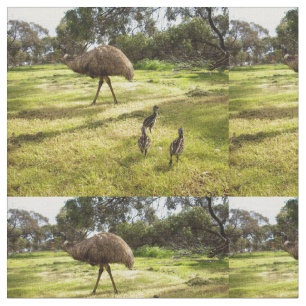 Emu Neighborhood Watch, Stoff