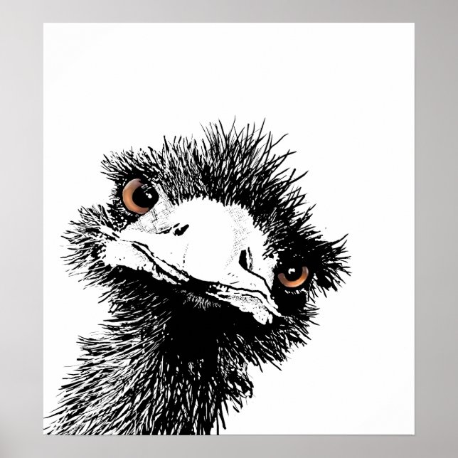 Emu - Pen und Ink Poster (Vorne)