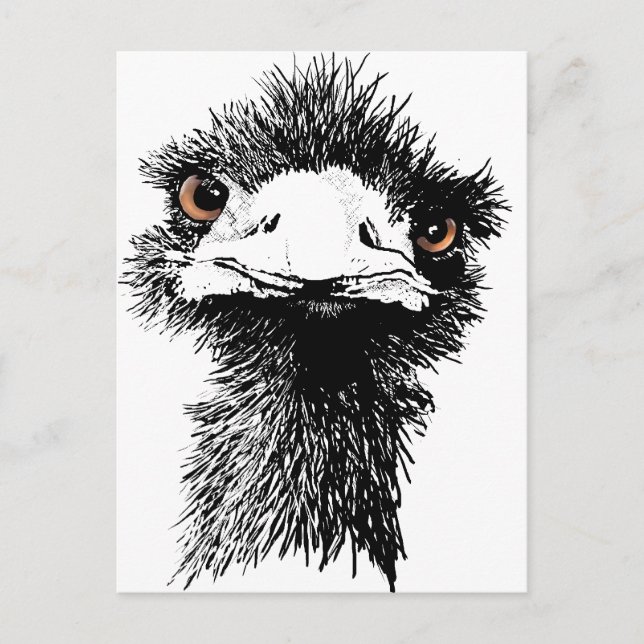 Emu Postkarte (Vorderseite)