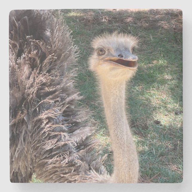 Emu Untersetzer (Vorderseite)