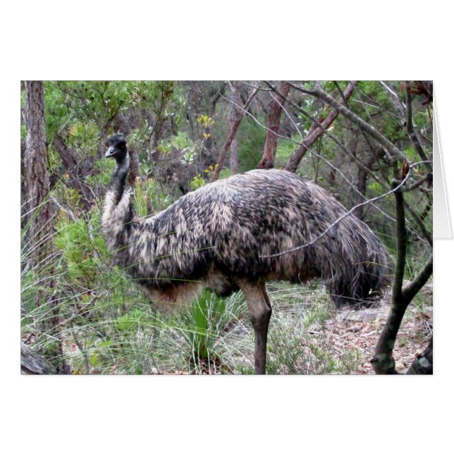 Emu-Wanderung (Vorderseite (Horizontal))