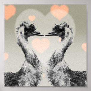 Emus in der Liebe Poster