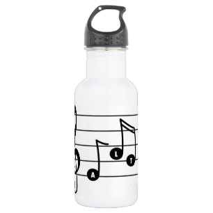 En Acier Inoxydable Bouteille d'eau Alto Singer