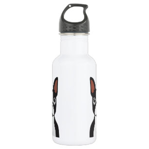 En Acier Inoxydable Bouteille d'eau de Boston Terrier
