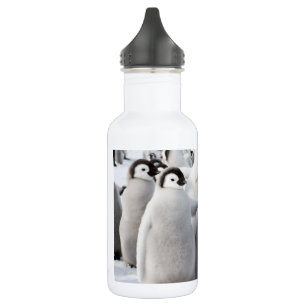 En Acier Inoxydable Bouteille d'eau de poussins de pingouin d'empereur