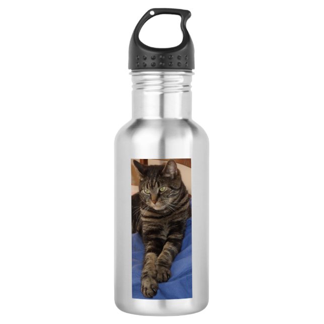 En Acier Inoxydable Bouteille d'eau majestueuse de Dave (532 ml), (Devant)