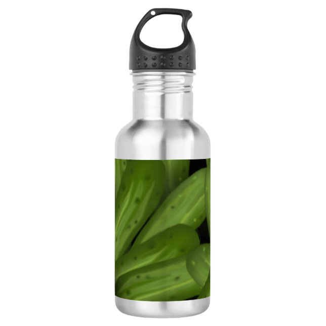 En Acier Inoxydable Bouteille d'eau Pickles (Devant)