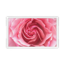 Plateau avec une photographie d'un beau rose de