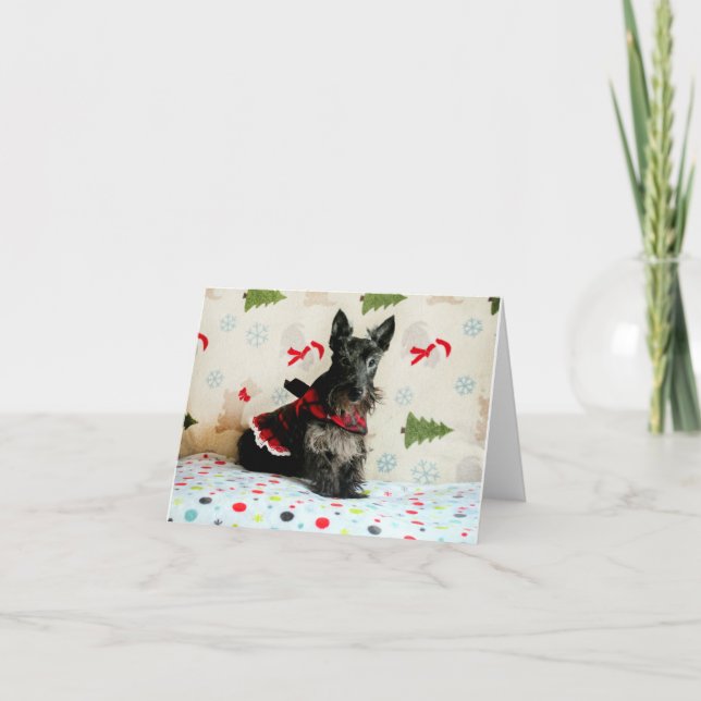 En attente de la carte de Noël (Devant)