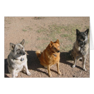 En attente de traitements