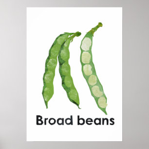En - Bohnen Poster