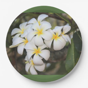 En Carton assiettes aux fleurs tropicales, plumeria