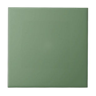 En Céramique Carreau avec fond vert sauge pastel