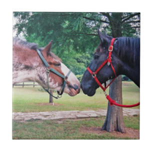 En Céramique Carreau de Chevaux