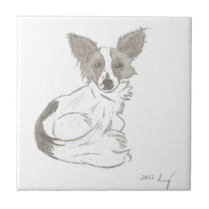 En Céramique Carreau de croquis Papillon