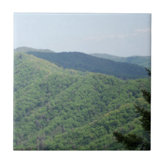 En Céramique Carreau de dessous de plat des montagnes enfumées