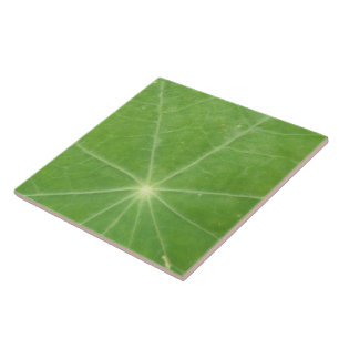 En Céramique Carreau de feuilles de Nasturtium