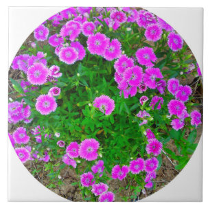 En Céramique Carreau de fleur de Dianthus rose