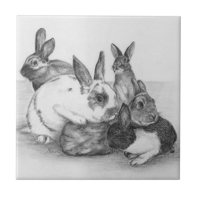 En Céramique Carreau de lapin (Devant)