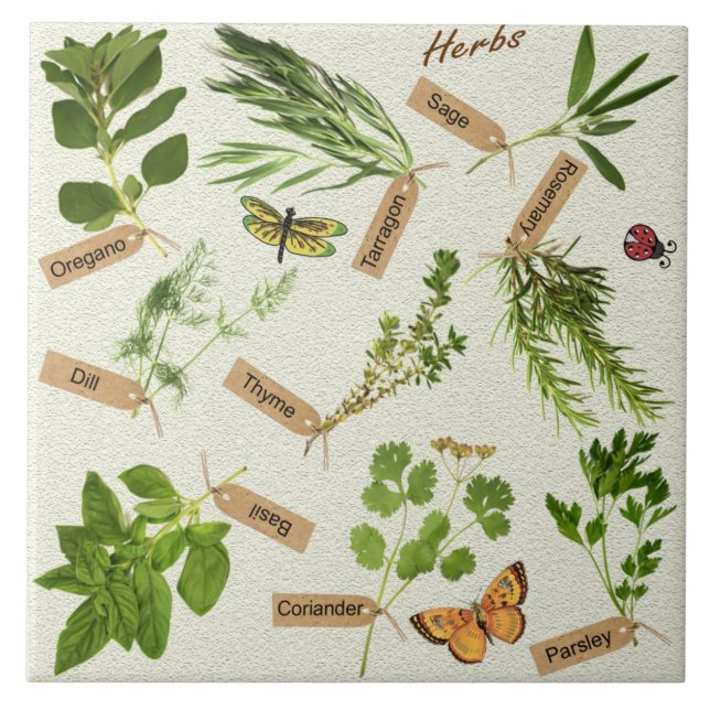 En Céramique carreau d'herbes (Devant)