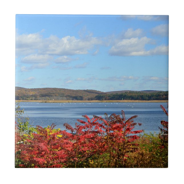 En Céramique Carreau du fleuve Connecticut (Devant)