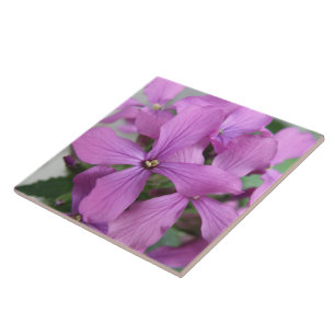 En Céramique Carreau Fleur sauvage violet