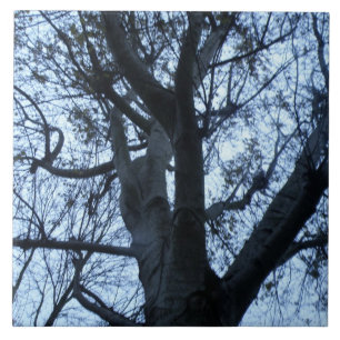 En Céramique Carreau photo Silhouette Arbre