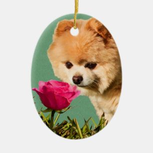 En Céramique Chien de Pomeranian et ornement rose
