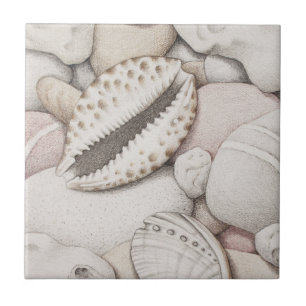 En Céramique Coquilles de cauri et d'ormeau et carreau de