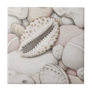 En Céramique Coquilles de cauri et d'ormeau et carreau de