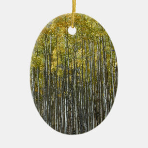 En Céramique Grand Aspens ornement
