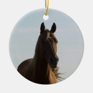 En Céramique La beauté est un ornement de cheval