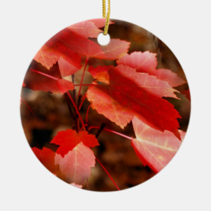 En Céramique L'automne rouge Feuilles Nature Ornement