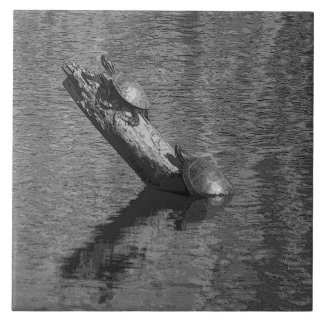 En Céramique Le temps de tortue chronomètre deux le carreau de