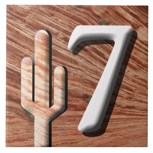 En Céramique Numéro du carreau d'adresse du sud-ouest (demande) (Devant)