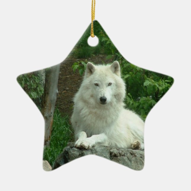 En Céramique Ornement arctique de loup (Devant)