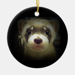 En Céramique Ornement aux pieds noir de furet