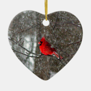 En Céramique ornement avec la photo du cardinal masculin