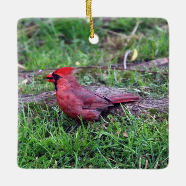 En Céramique Ornement cardinal (Devant)