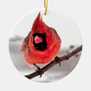 En Céramique Ornement cardinal